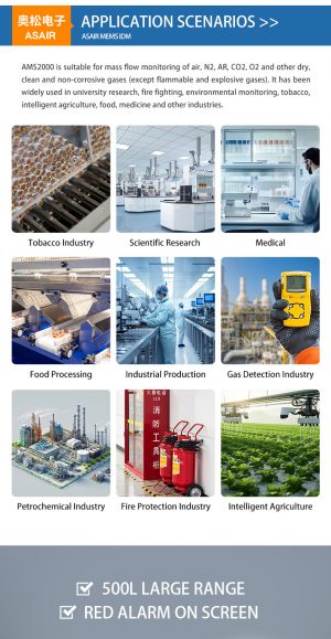 AMS2000 Mass Flow Meter